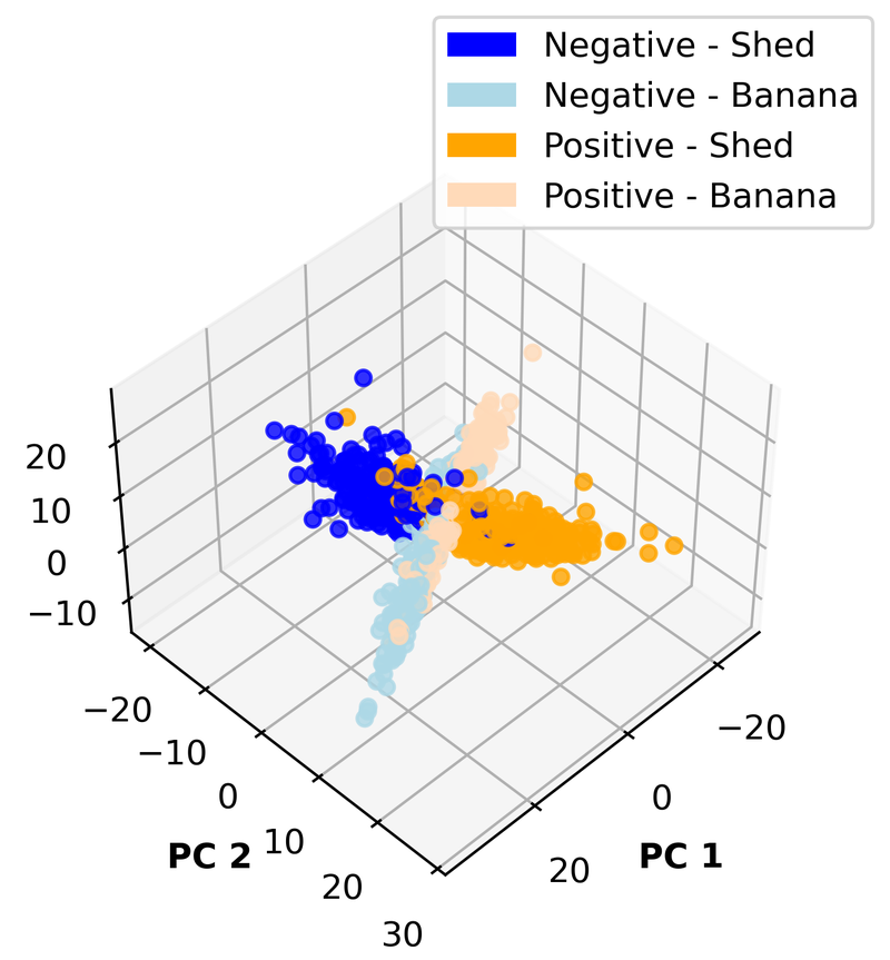 PCA of activations with cluster normalization: points cluster by truth label