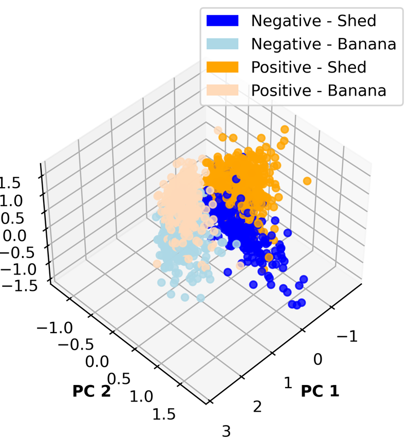 PCA of activations with standard normalization: points cluster by random word